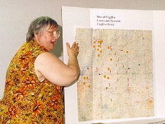 Henry County Web - History