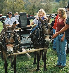 Drennon Days 2003