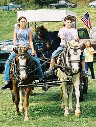 Drennon Days 2003